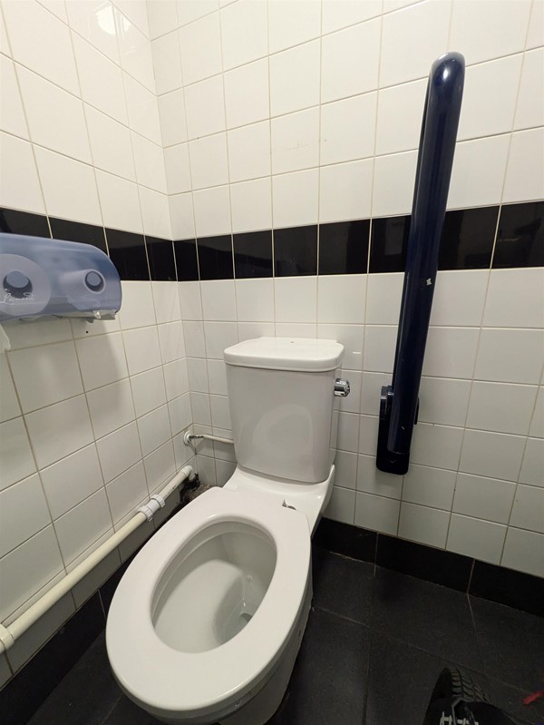 Image of toilet and grabrails