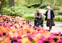 Disabled Access Day at RHS Harlow Carr