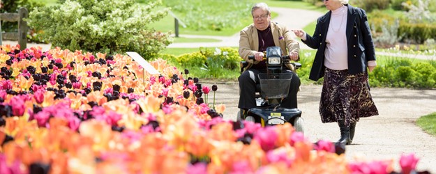 Disabled Access Day at RHS Harlow Carr article image