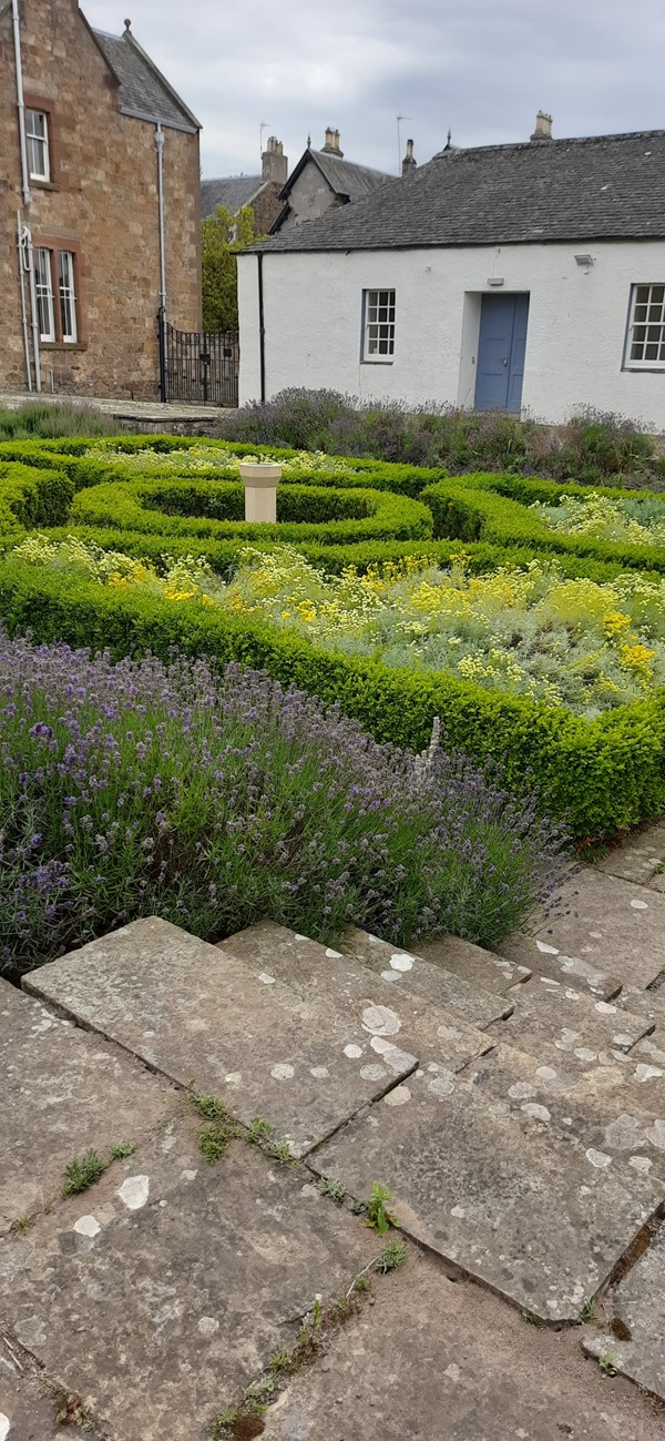 Image of a path in a garden