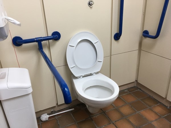 Accessible loo