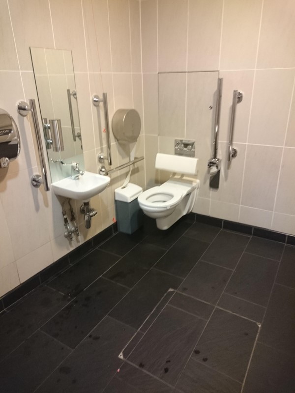 Picture of the National Museum of Scotland - Accessible Toilet