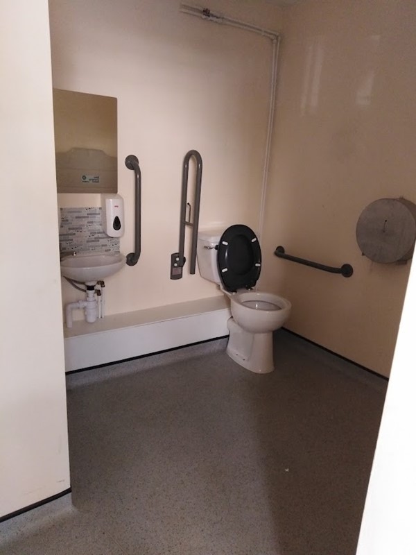 Image of a with a toilet with grabrails