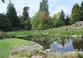 A photo of a pond in the gardens