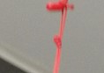 Picture of red cord