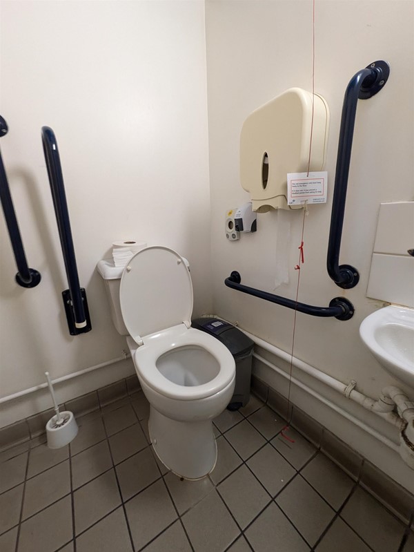 Image of accessible toilet