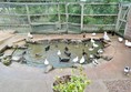 Dawlish Waterfowl Centre