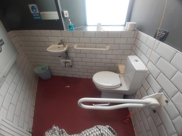 Image of an accessible toilet and sink