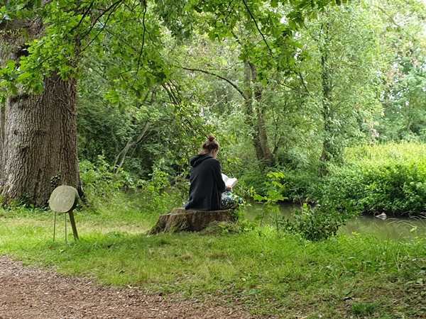 Picture of Waterperry Gardens