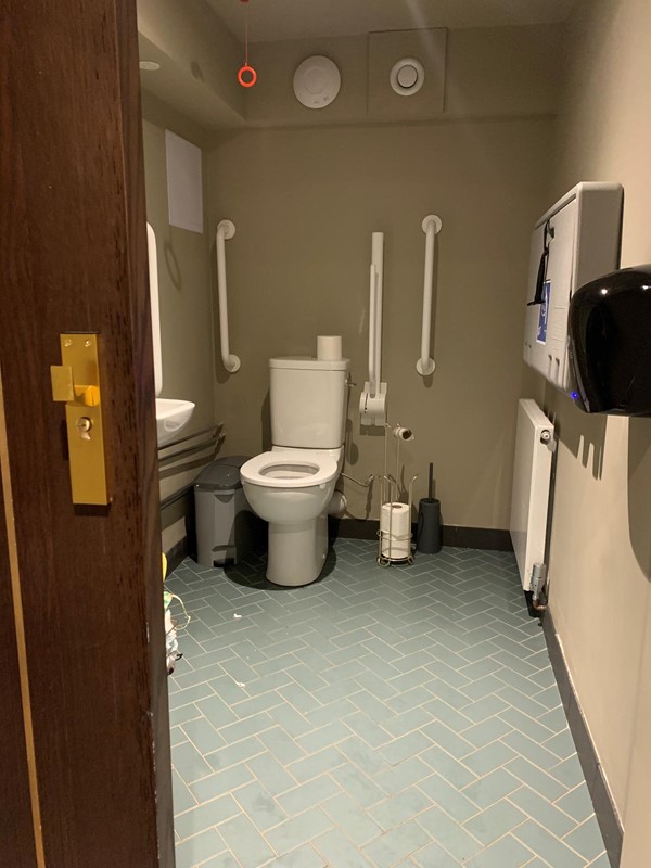 View of accessibile toilet from door