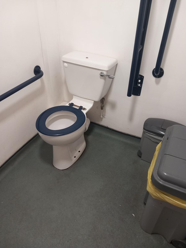 Image of a toilet with grabrails