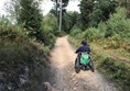 Picture of Hindhead Commons and the Devil's Punch Bowl