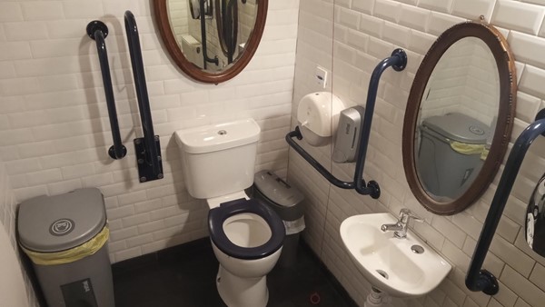 Image of an accessible toilet