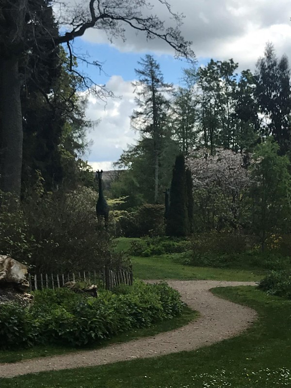 Area good for picnic and listening to all the birds!