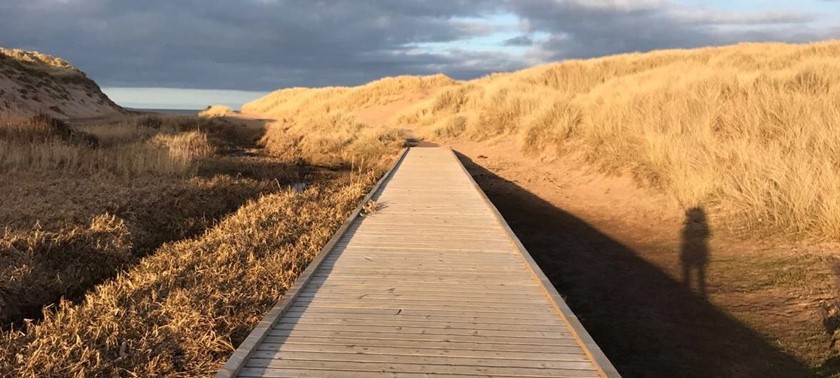 Balmedie Country Park