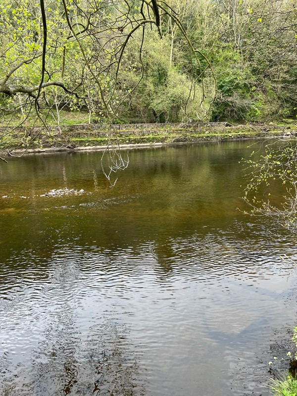 Image of Low Barns Nature Reserve