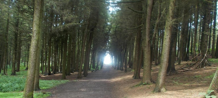 Beacon Fell Country Park