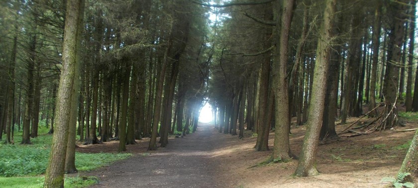 Beacon Fell Country Park