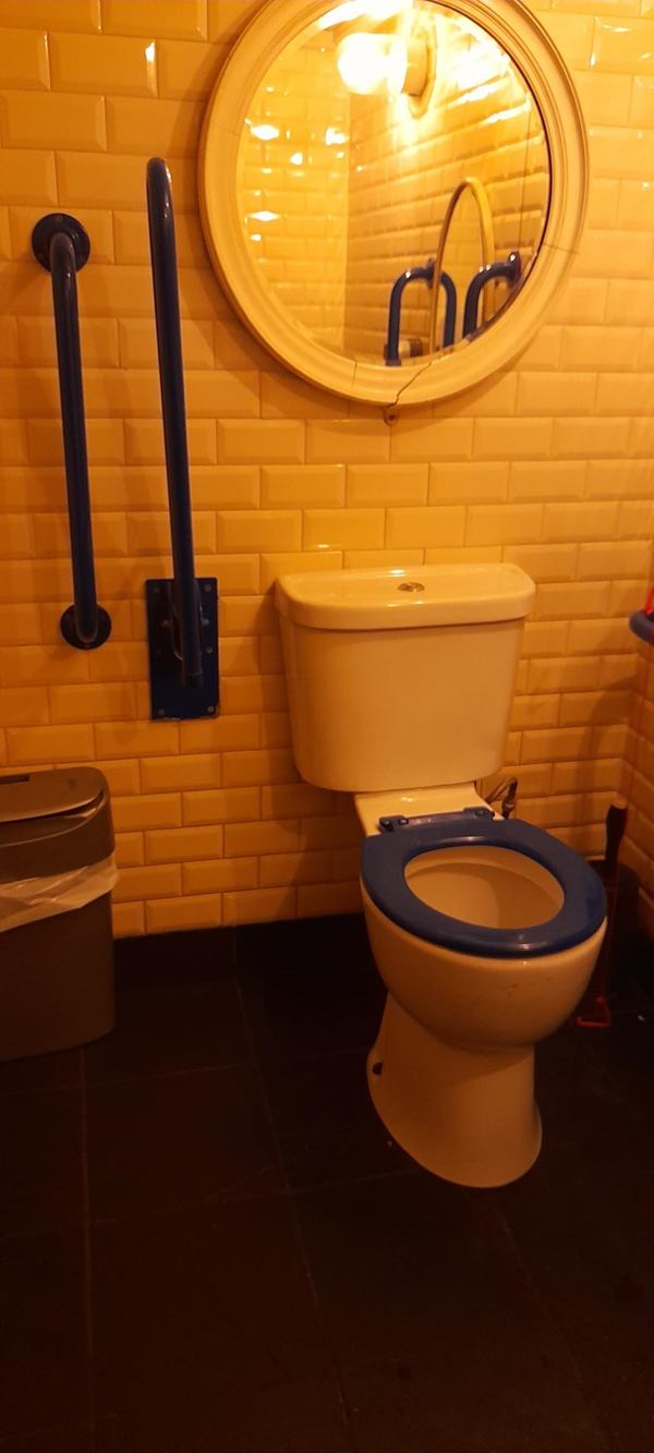 Accessible toilet