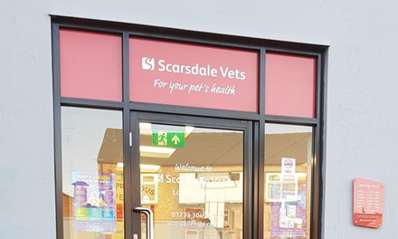 Scarsdale Vets