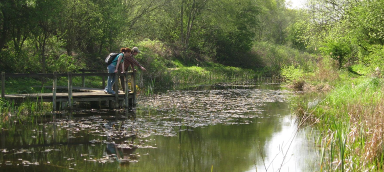 Potteric Carr Nature Reserve