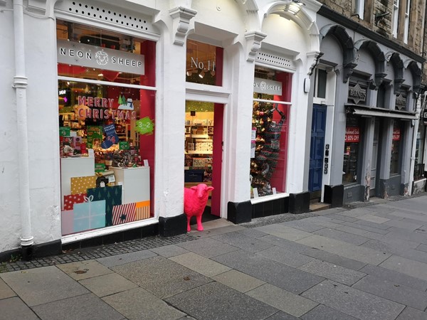 Picture of Neon Sheep, Edinburgh