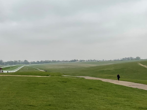 Picture of Epsom Downs Racecourse