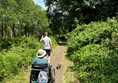 Image of people walking and driving their wheelchair on a pathway.