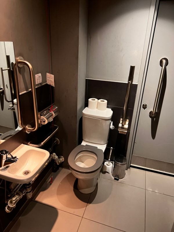 Image of an accessible toilet