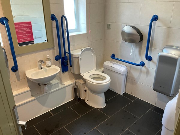 Image of the accessible toilet.