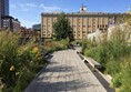 Picture of The High Line in New York