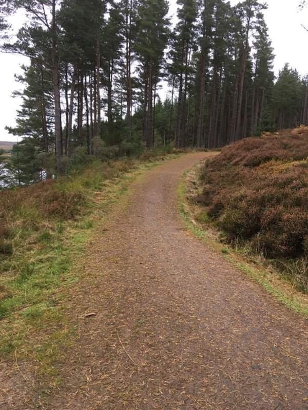 Picture of Kielder Water and Forest Park