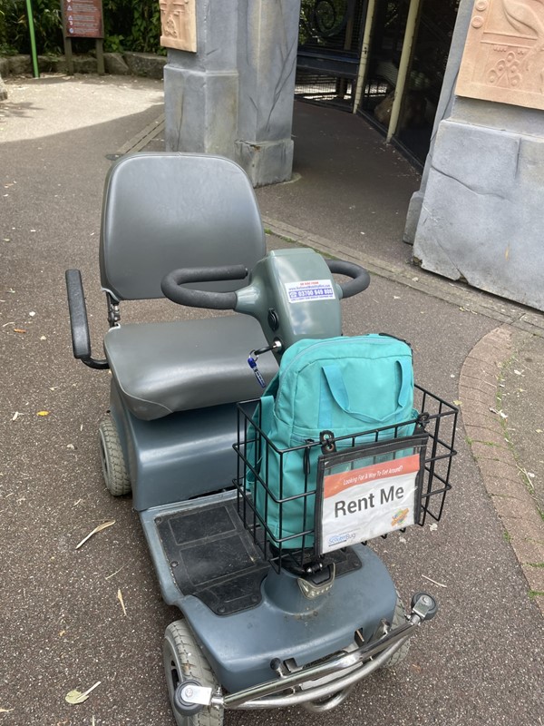 Image of a scooter with a bag in the back