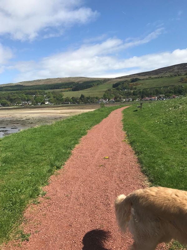 Gravel footpath