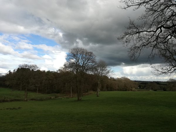 Picture of Goytre Wharf, Abergavenny