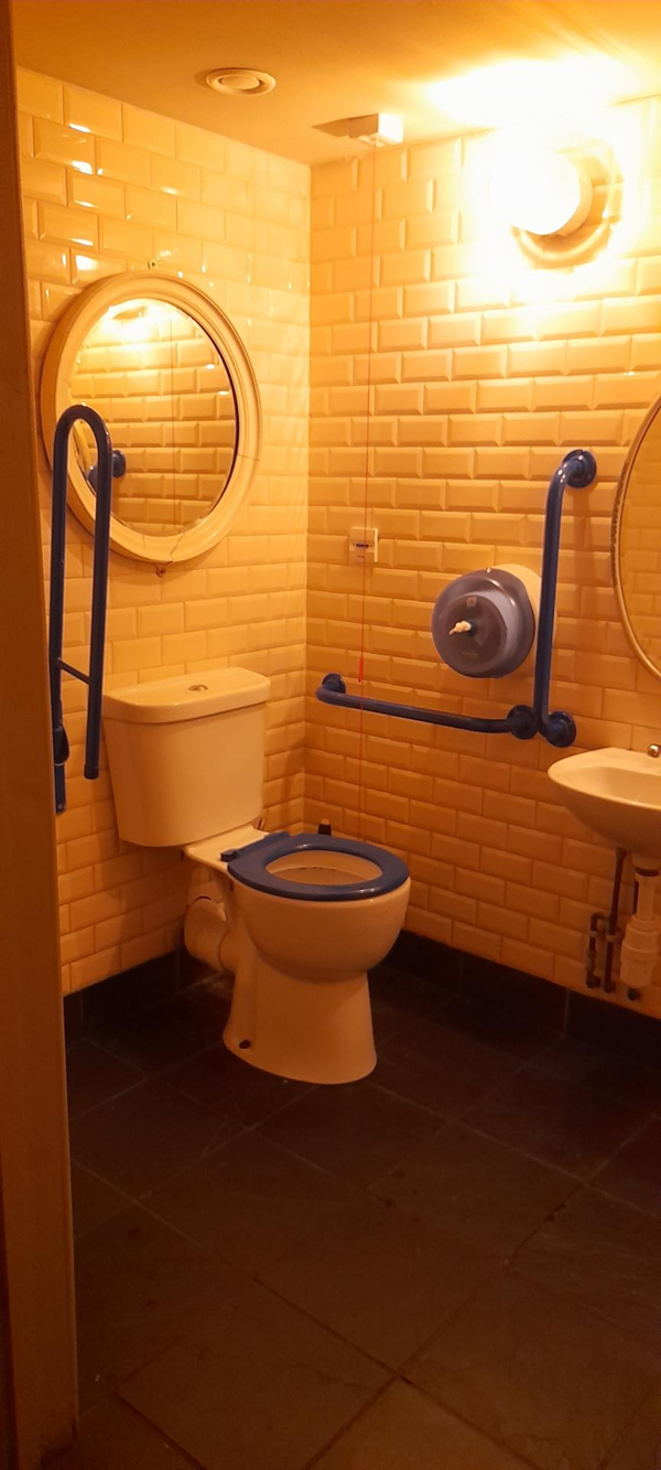 Accessible toilet