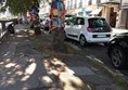 Yarn bombing on the trees by the river