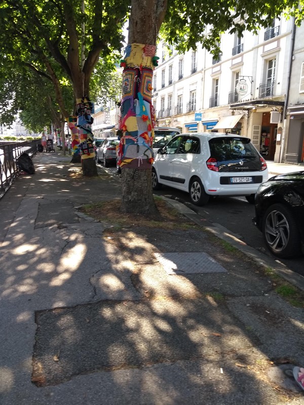 Yarn bombing on the trees by the river