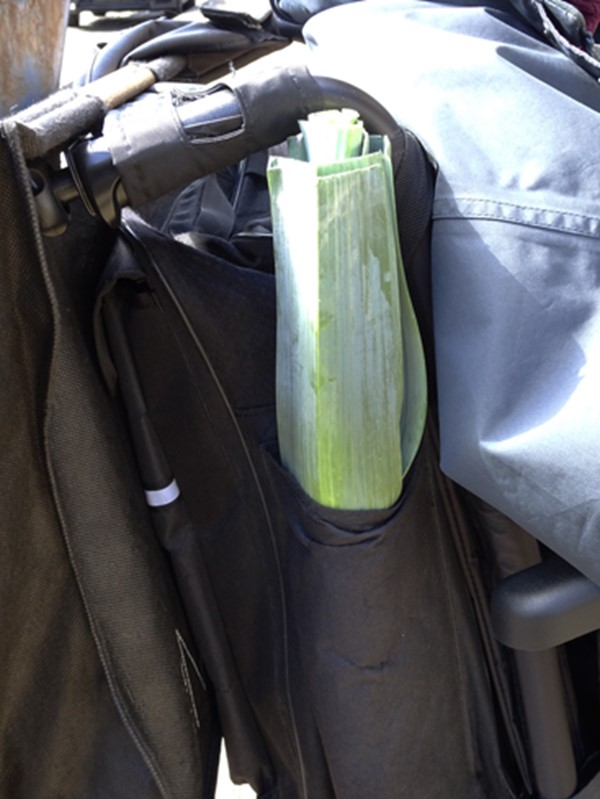 The walking stick section of the wheelchair bag takes a leek!