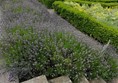 Image of some steps in a garden