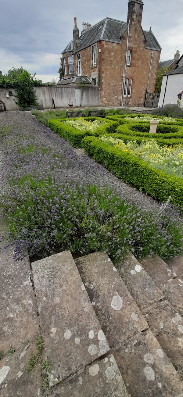 Image of some steps in a garden