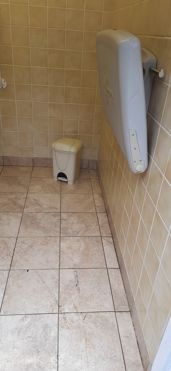 Accessible toilet