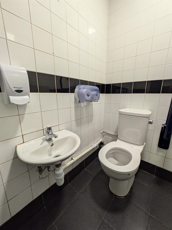 Image of accessible toilet