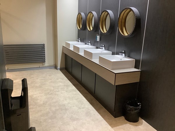 Picture of a row of sinks