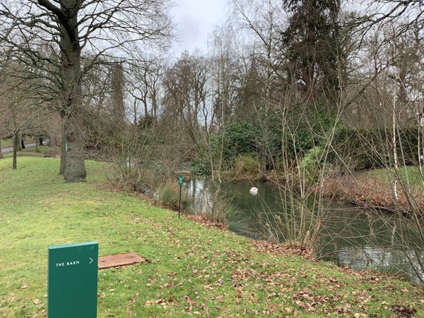 and along to the pond bridge