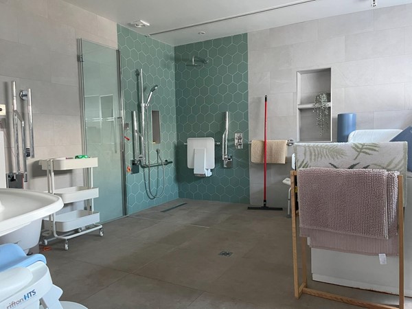 Image of the shower area in the accessible bathroom.