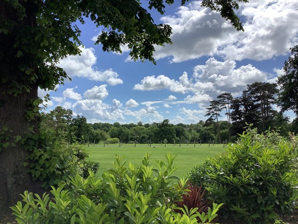 Picture of Rookery Hall Hotel & Spa