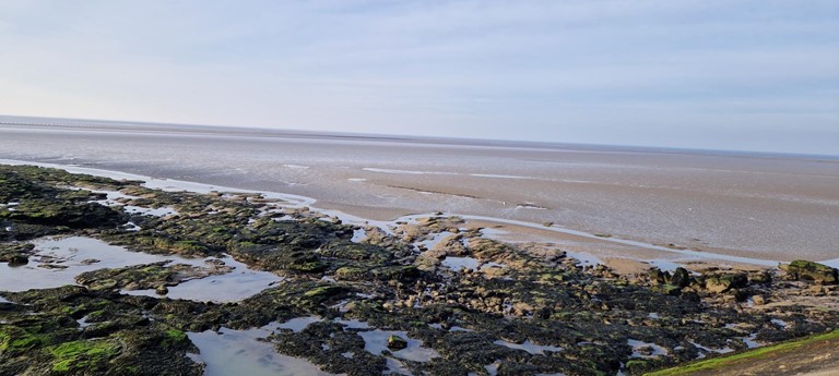 Heysham Nature Reserve