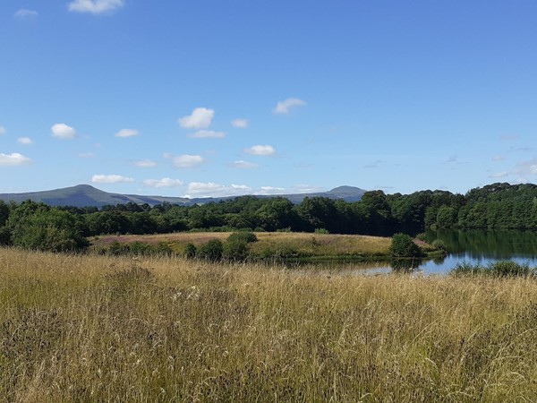 View from the top with East and West Lomond hills in the distance