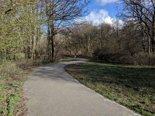 Picture of Scheveningen Woods